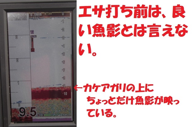 CIMG7440.JPG
