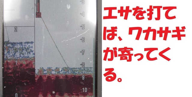 CIMG7450.JPG