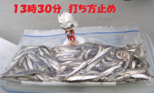CIMG7454.JPG