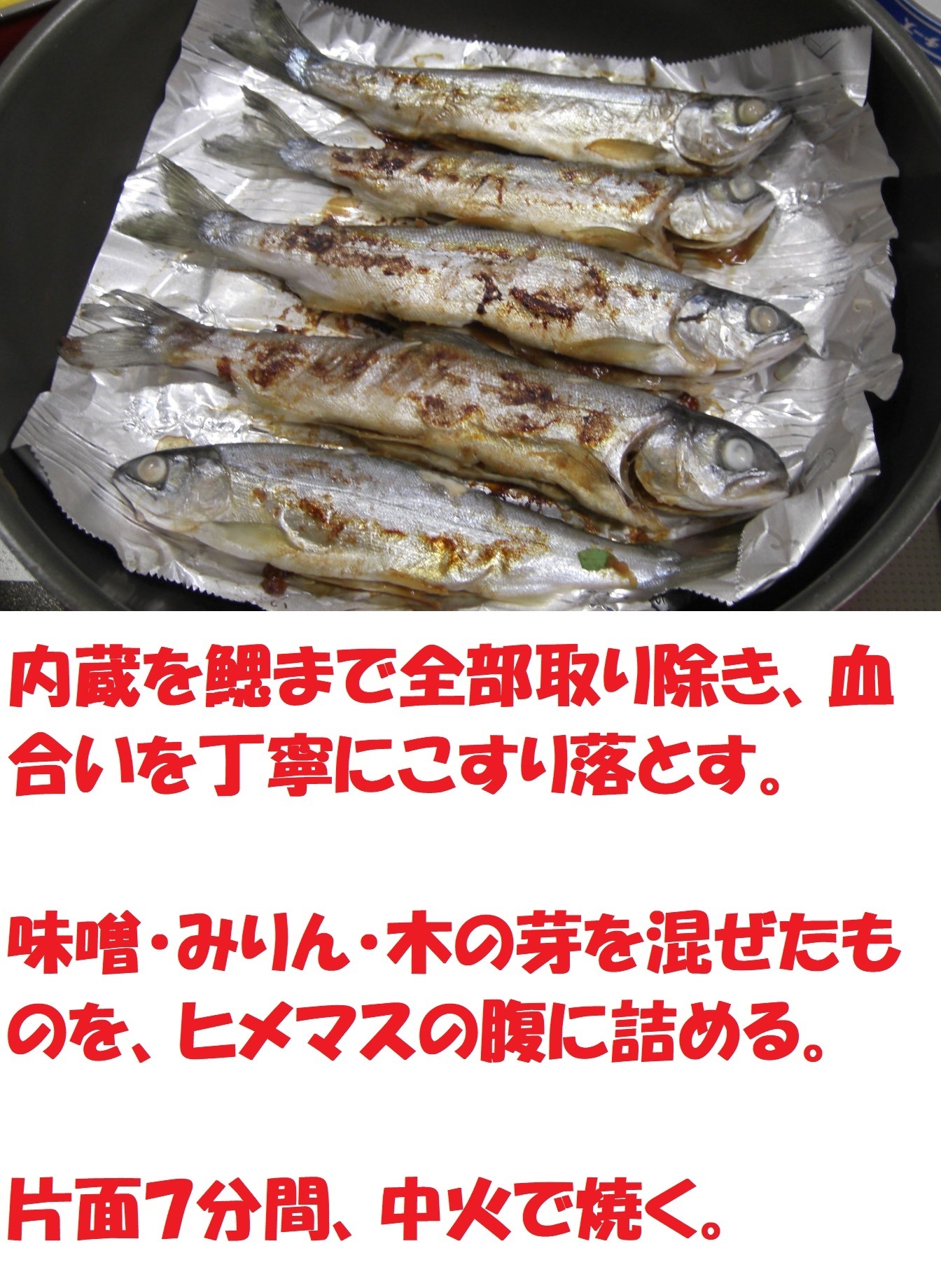 売り出し最安値 シシャモ 魚画伯 | saffi.com.br