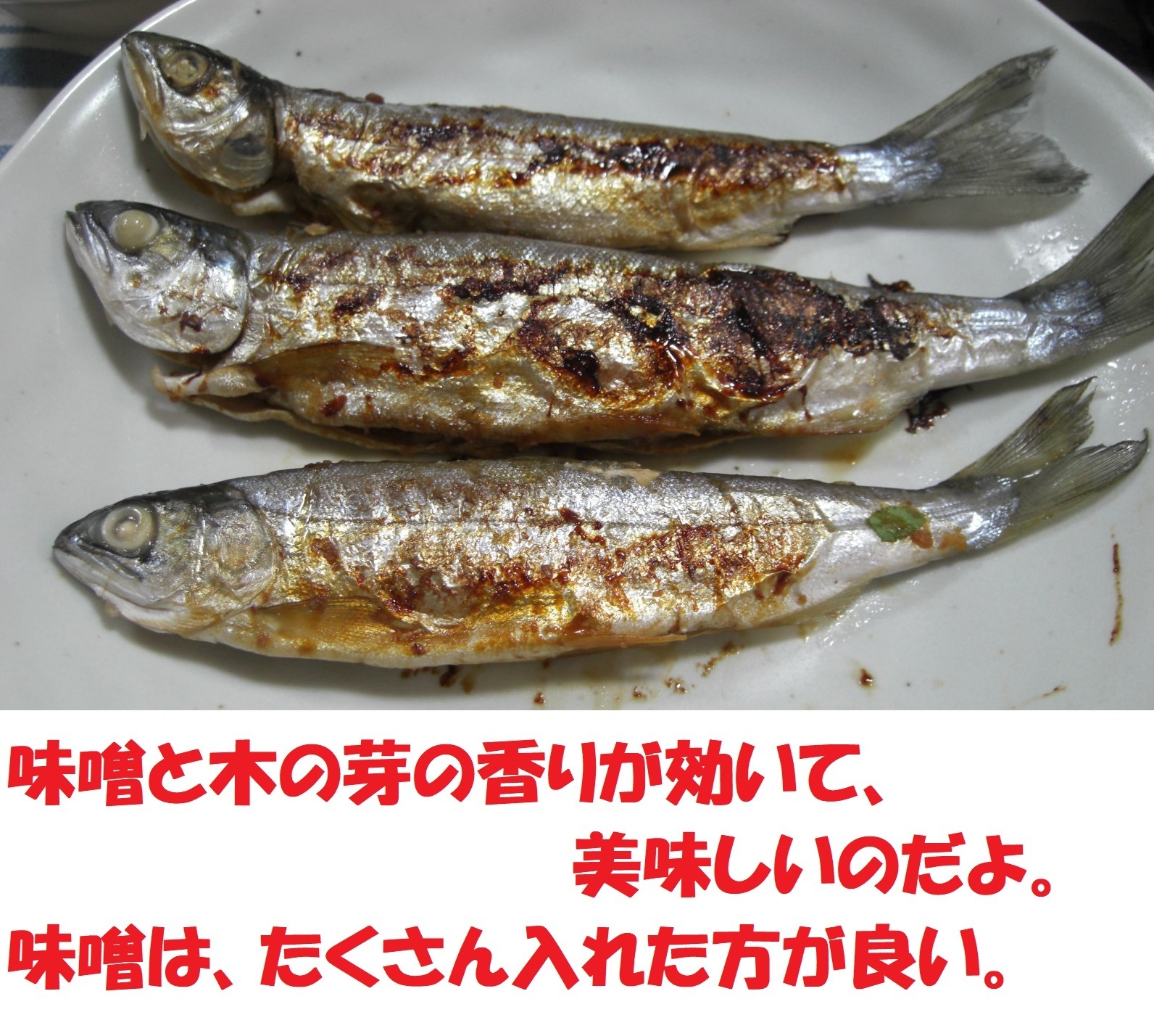 売り出し最安値 シシャモ 魚画伯 | saffi.com.br