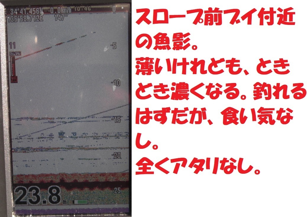 ワカサギの食い気ゼロ 布目ダムワカサギ釣り 22 11 11 ぐうたら釣り日記