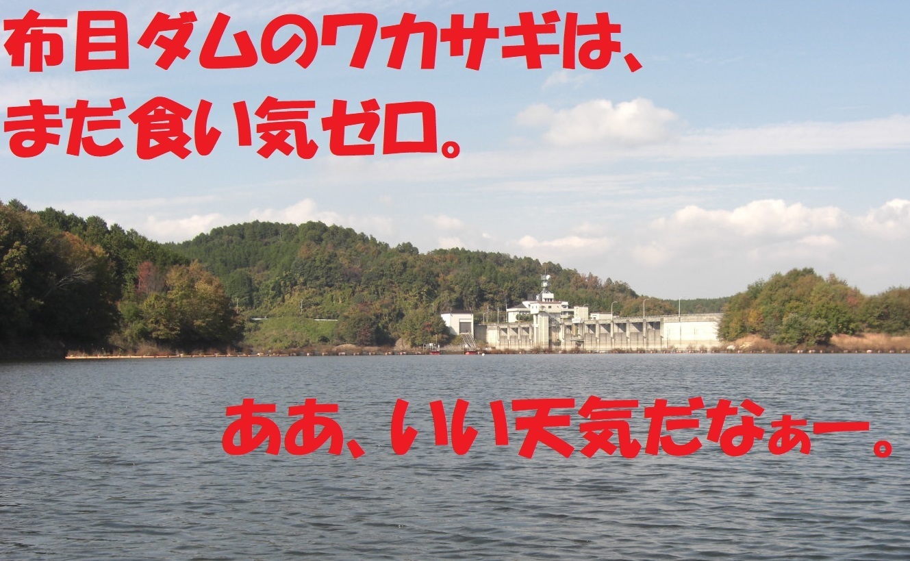 ワカサギの食い気ゼロ 布目ダムワカサギ釣り 22 11 11 ぐうたら釣り日記