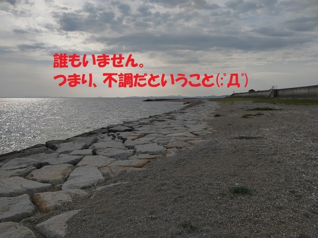 DSC_0004.JPG