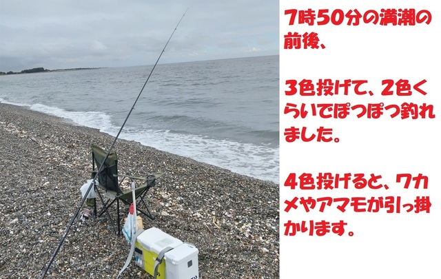 DSC_0006.JPG