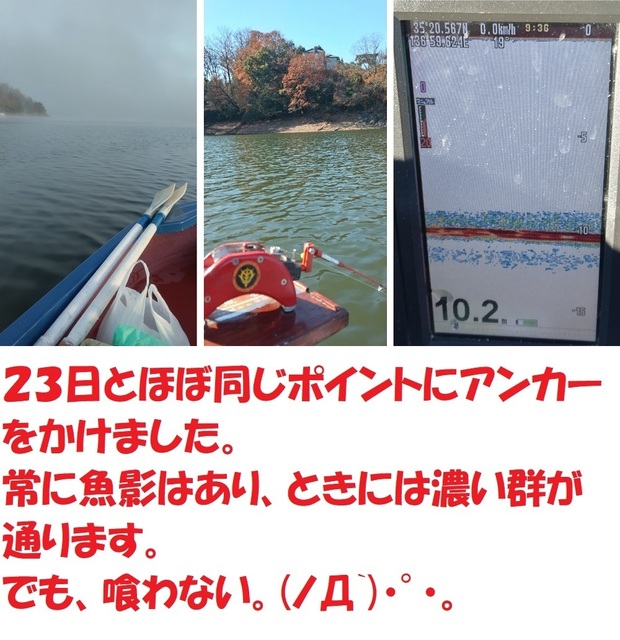 DSC_0012.JPG