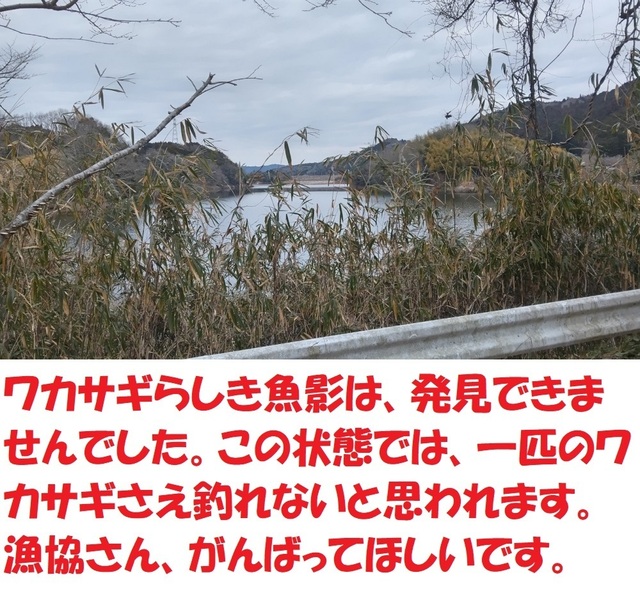 DSC_0019.JPG
