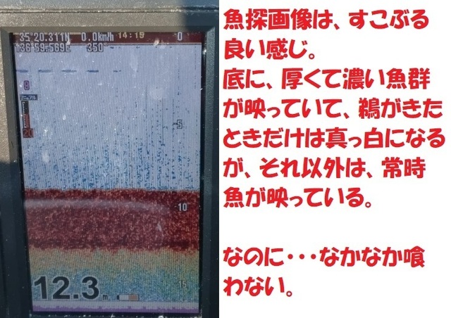 DSC_0051.JPG