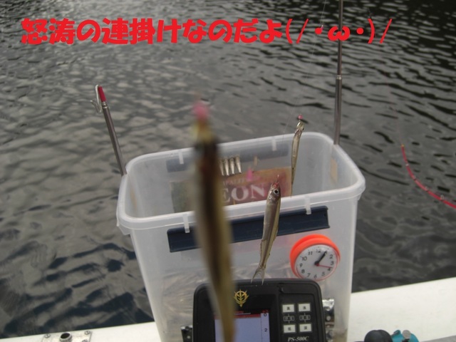 連掛け.JPG