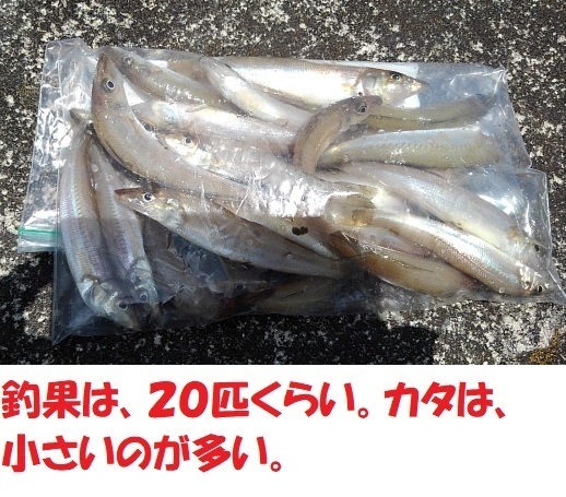 KIMG0717.JPG