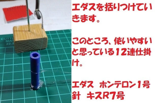 KIMG0762.JPG