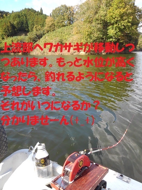 KIMG0975.JPG