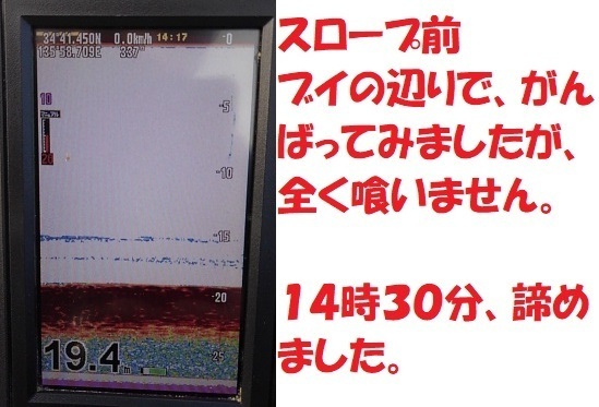 KIMG0977.JPG