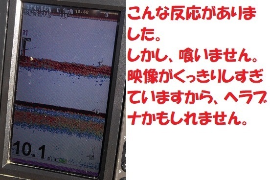 KIMG0983.JPG