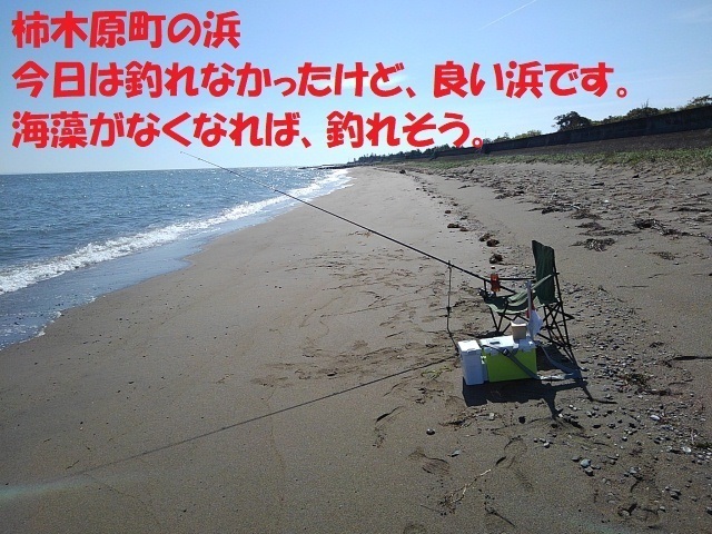KIMG1245.JPG