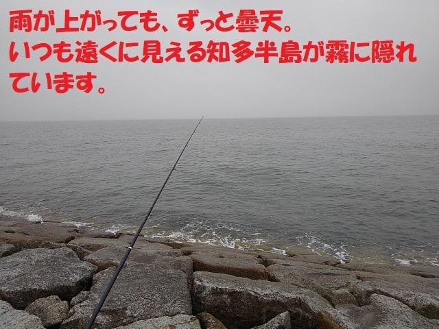 KIMG1259.JPG