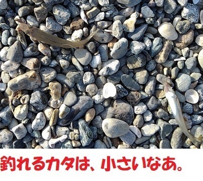 KIMG1317.JPG